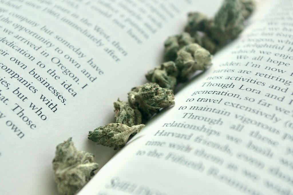 marijuana book