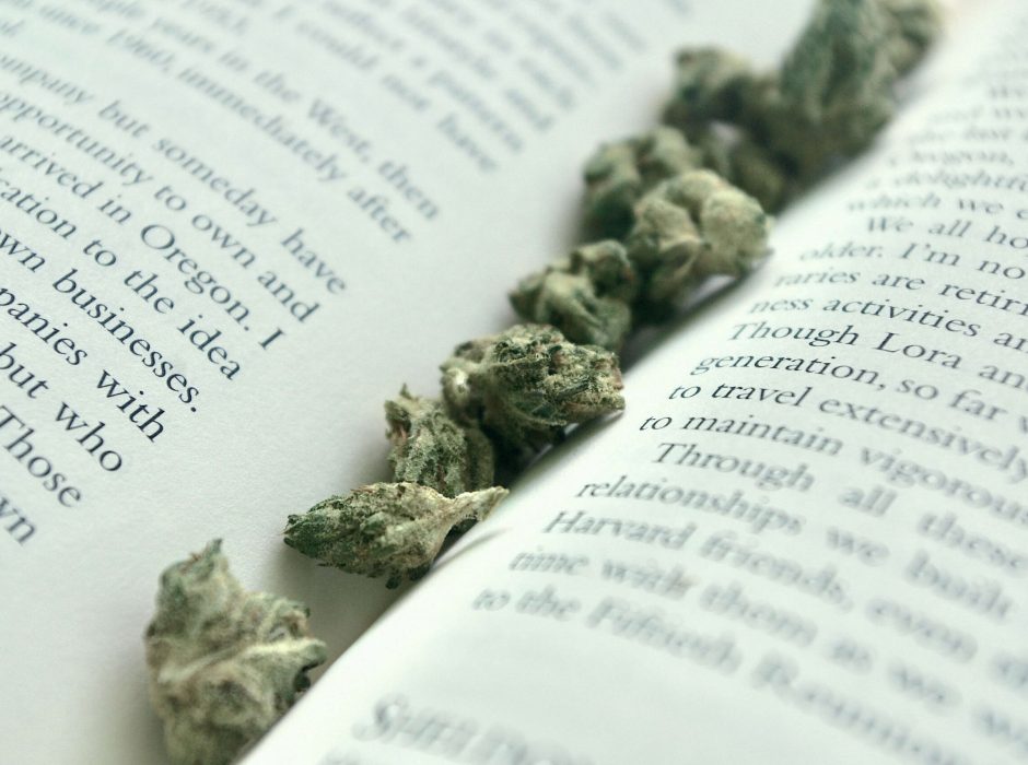 marijuana book